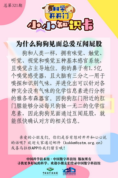 狗狗们见面时总喜欢朝对方闻来闻去的原因,为什么狗狗见面总爱互闻屁股