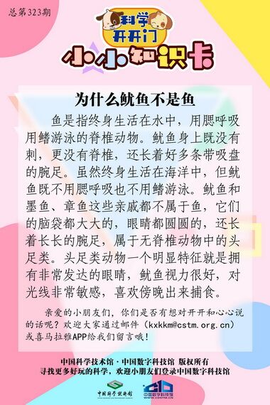 鱿鱼,章鱼,墨鱼是不是鱼呢