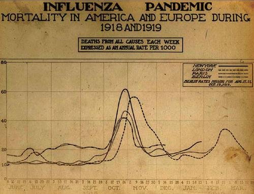 生命世界：追踪杀人流感(组图)