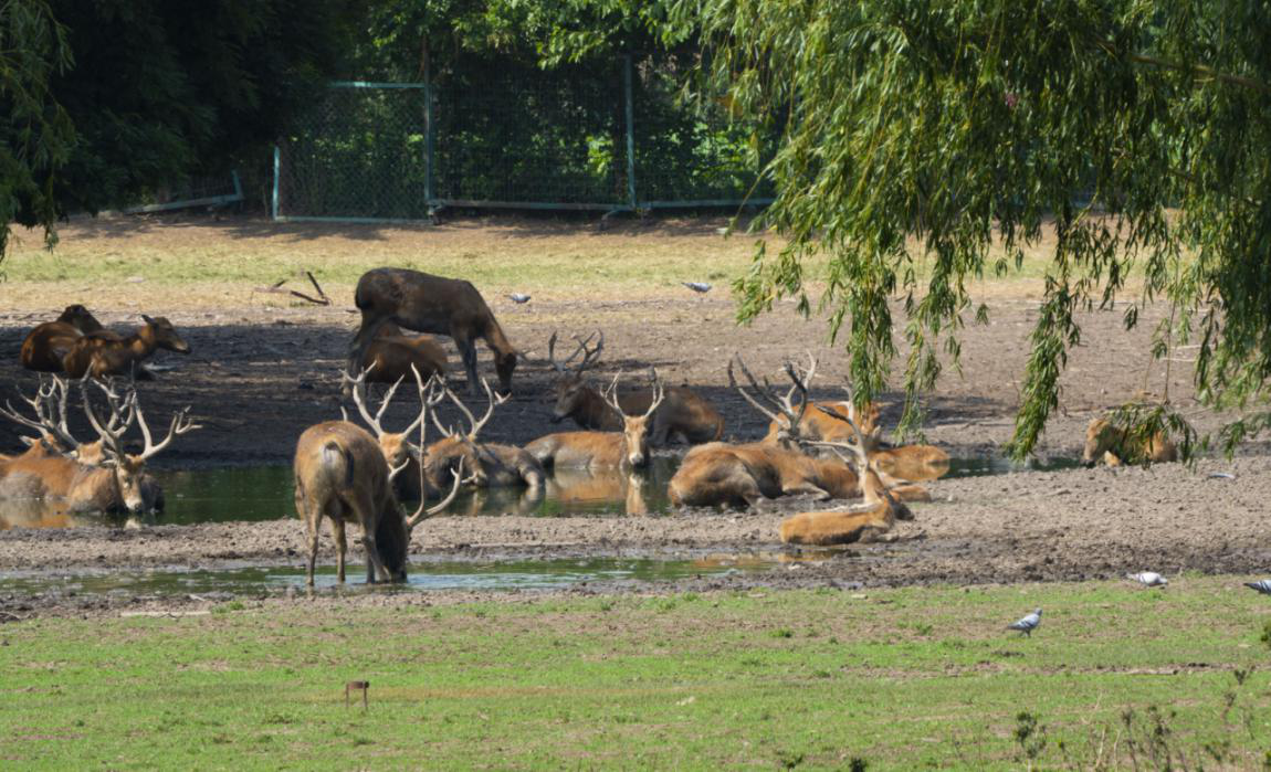 国际湿地日;保护湿地;生态环境 国际湿地日;保护湿地;生态环境