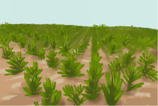 内蒙古戈壁研发火箭,沙漠治理,钱学森事迹