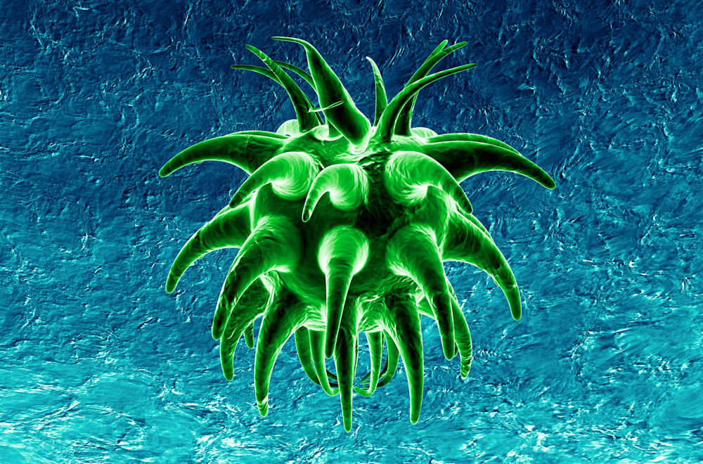 太空飞行中微生物对航天员健康影响及应对措施