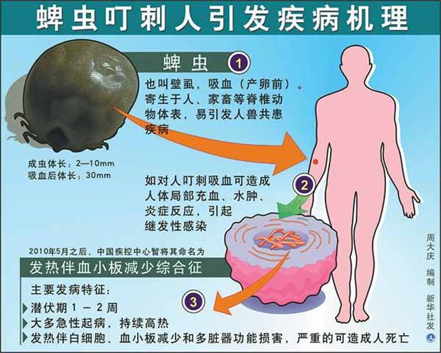 夺命蜱虫,蜱虫和普通虫子有什么不一样,为什么被蜱虫叮咬后可能会危及生命呢