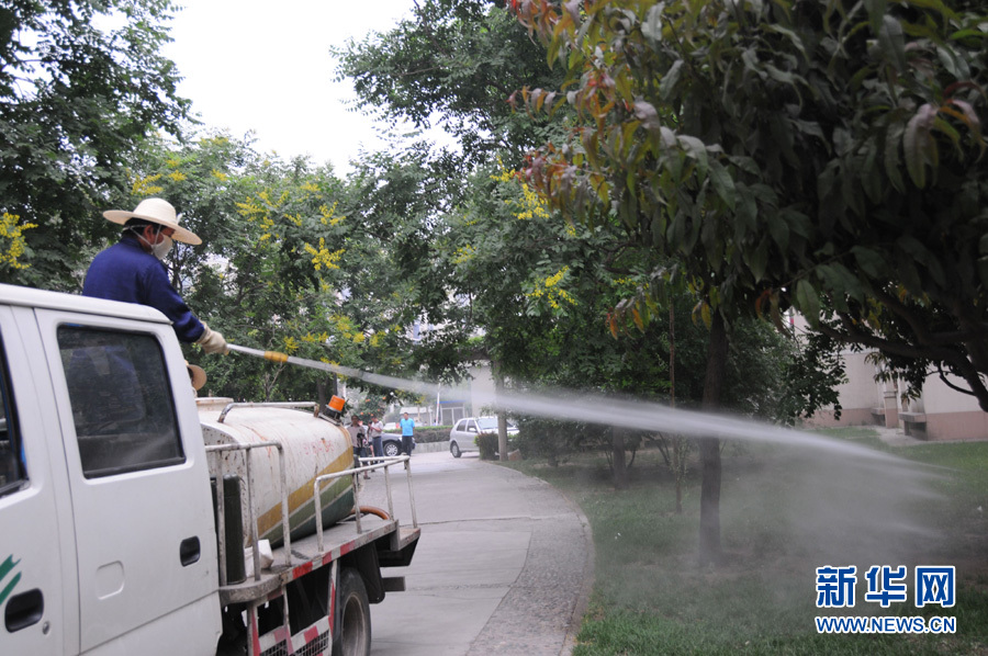 夺命蜱虫,蜱虫和普通虫子有什么不一样,为什么被蜱虫叮咬后可能会危及生命呢