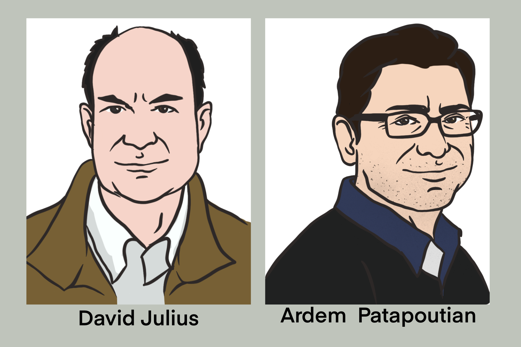 2021年诺贝尔生理学或医学奖,温度和触觉感受器,神经冲动是如何启动的 2021年诺贝尔生理学或医学奖,温度和触觉感受器,神经冲动是如何启动的