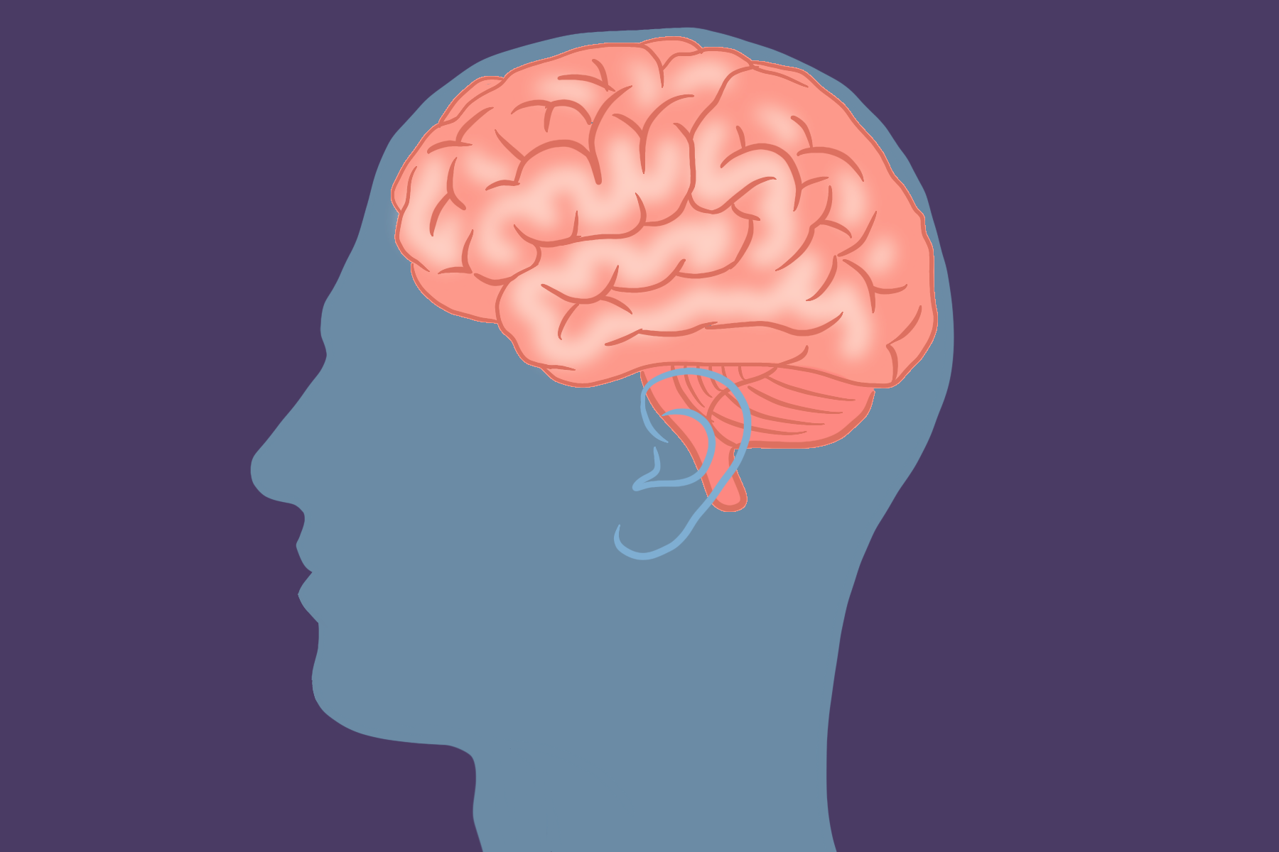 2021年诺贝尔生理学或医学奖,温度和触觉感受器,神经冲动是如何启动的