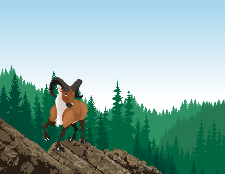 羊能够爬上高山的原因,哪些羊会飞檐走壁,华西鬣羚