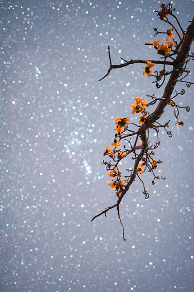 100张;照片;中国星空