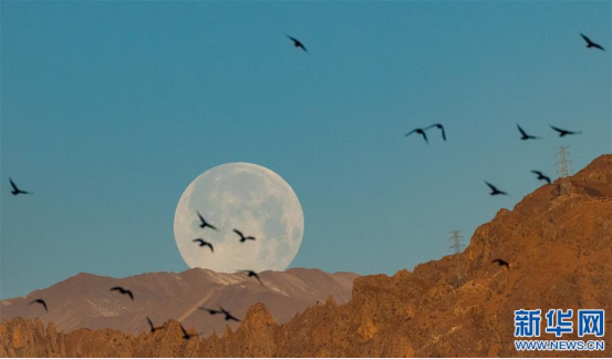 超级月亮,什么是超级月亮,超级月亮和普通月亮有什么区别