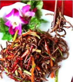 流浪地球;蚯蚓干