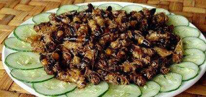 流浪地球;蚯蚓干