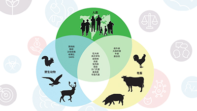 防控;新冠肺炎疫情