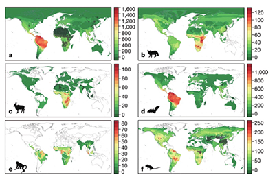 防控;新冠肺炎疫情