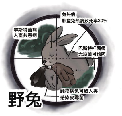 蝙蝠;果子狸;野味;复仇