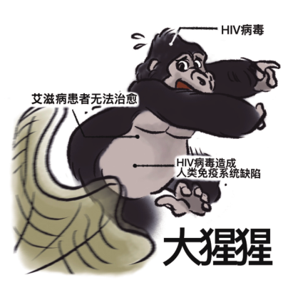 蝙蝠;果子狸;野味;复仇