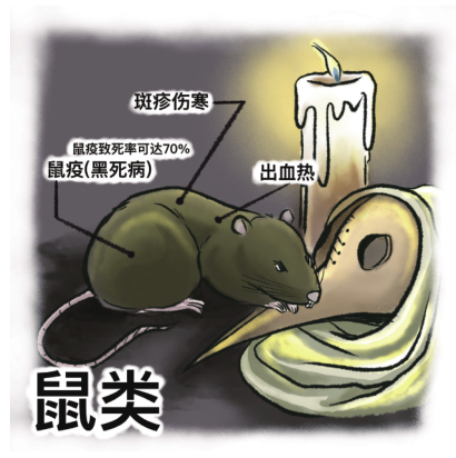 蝙蝠;果子狸;野味;复仇