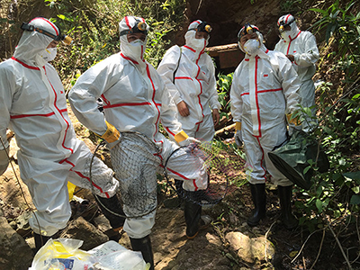 SARS;MERS;新冠肺炎;蝙蝠