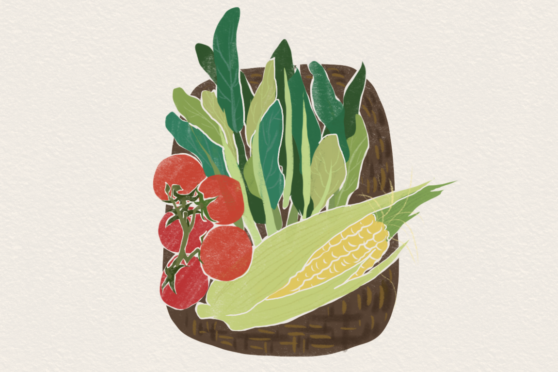 如何提高免疫力,免疫力低下的原因,如何消除疫苗恐惧