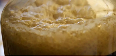 夏天;啤酒;科学放大镜