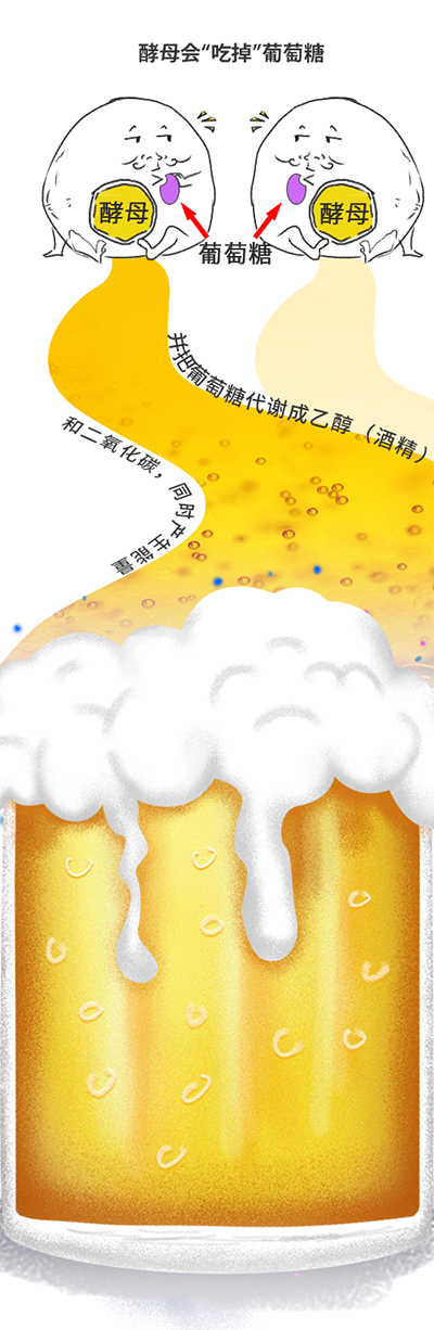 夏天;啤酒;科学放大镜