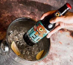 夏天;啤酒;科学放大镜