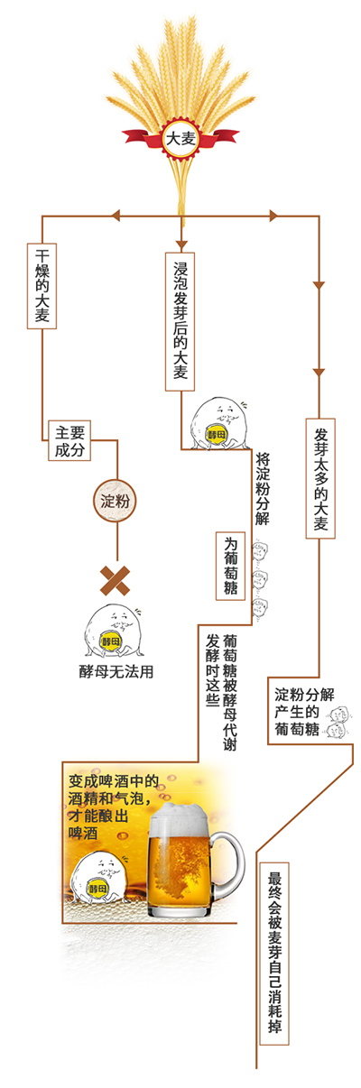 夏天;啤酒;科学放大镜