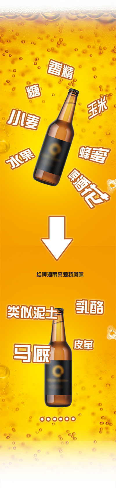 夏天;啤酒;科学放大镜