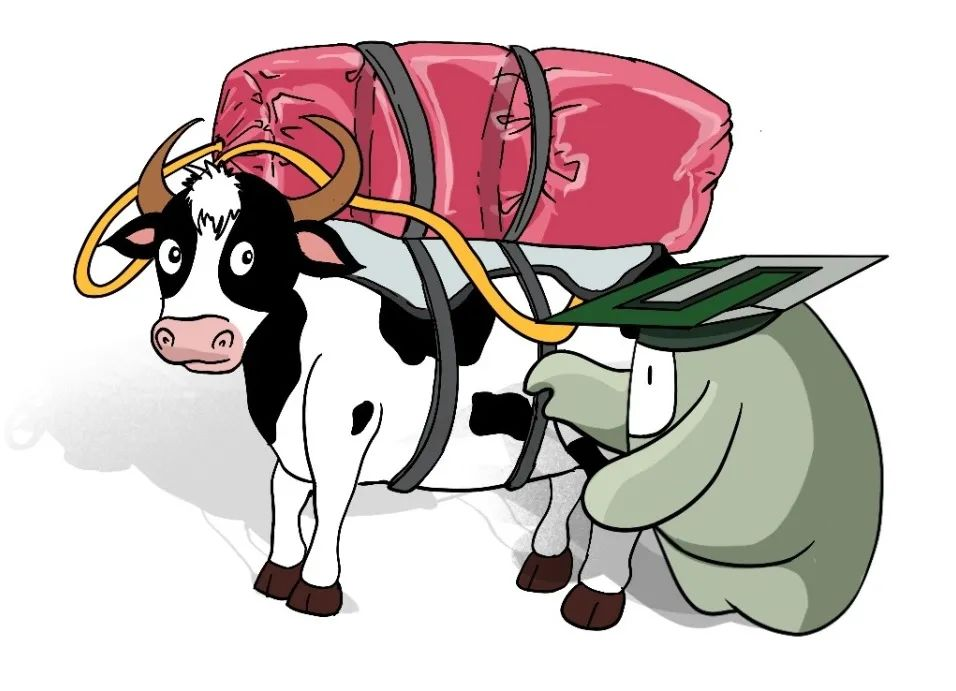 牛屁是什么,为什么要收集牛屁,牛屁采集包