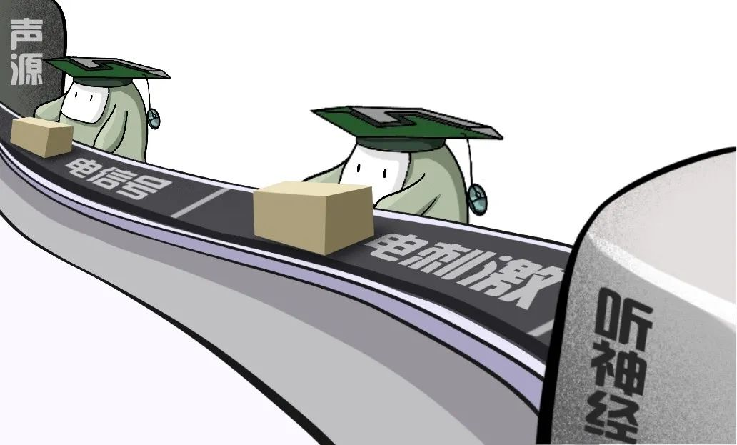 人工耳蜗植入,正常耳蜗的替代品,耳蜗