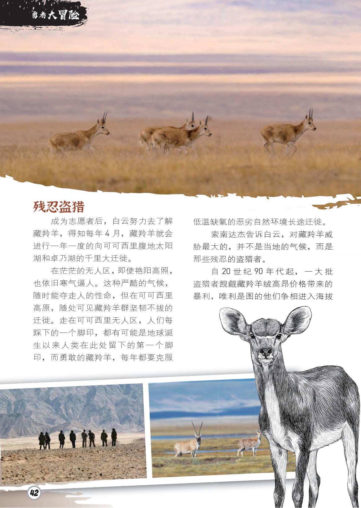 残忍盗猎,志愿者,唯利是图