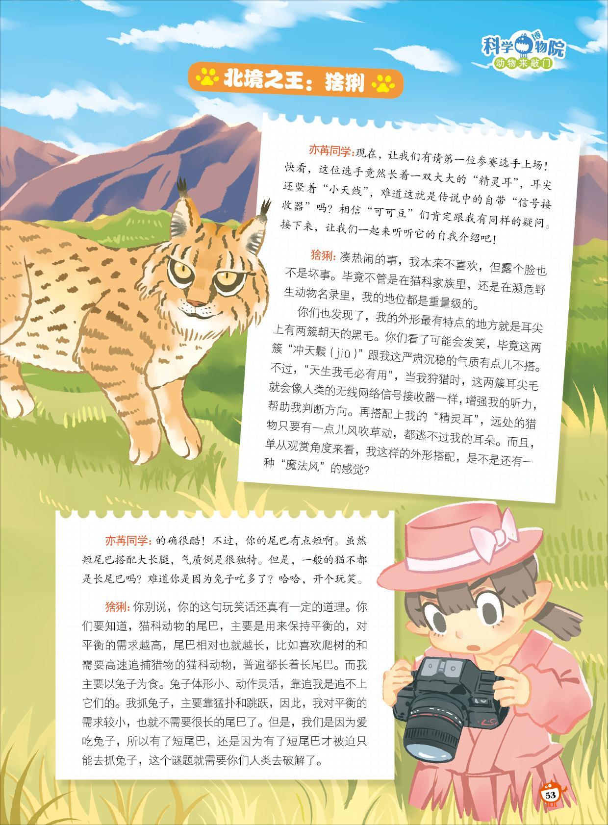 猞猁,狩猎,听力