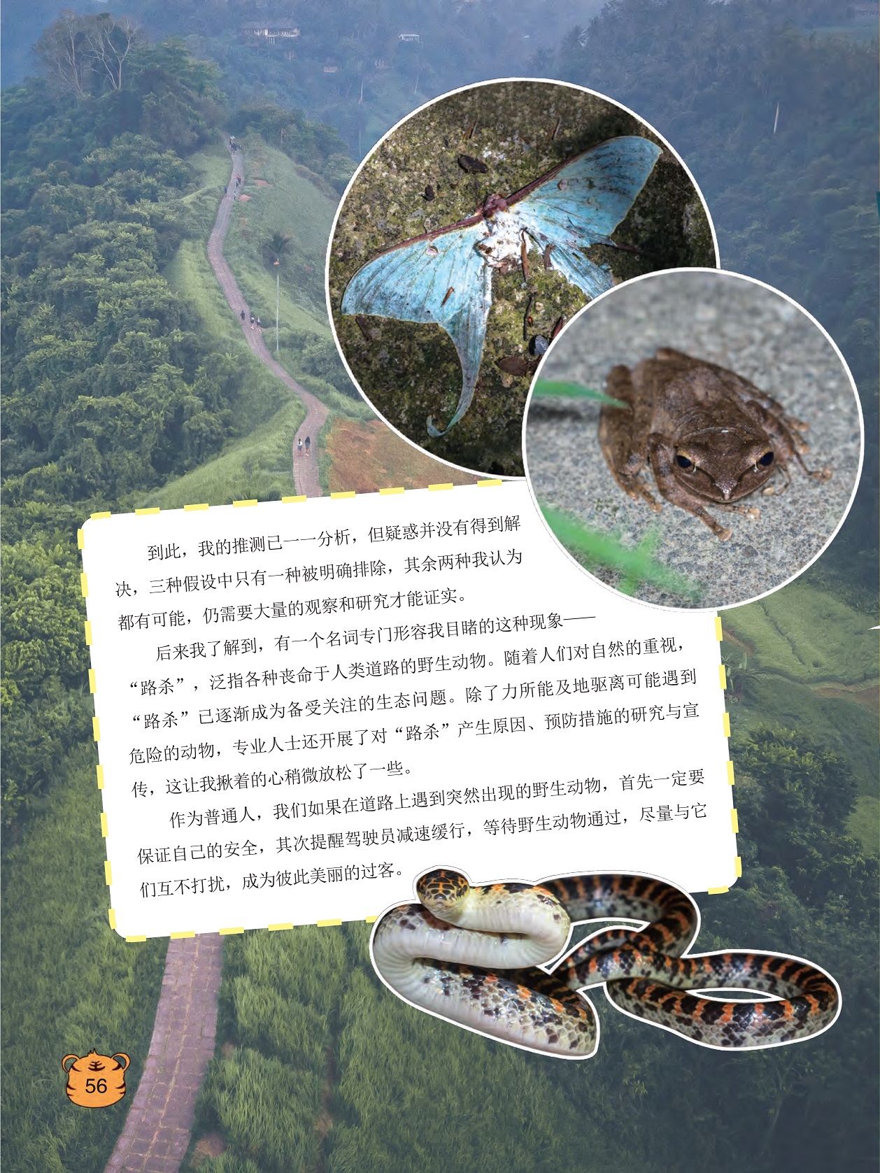 需要大量的观察和研究才能证实,道路上遇到突然出现的野生动物