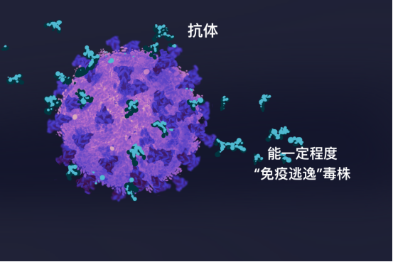 德尔塔毒株,德尔塔毒株有多厉害,什么是“德尔塔”毒株