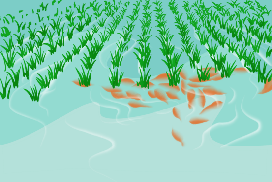 立体农业,种植和养殖结合的生态农业系统