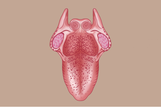 什么是舌癌,为什么很常见的口腔溃疡却会发展为舌癌,舌癌的病因有哪些