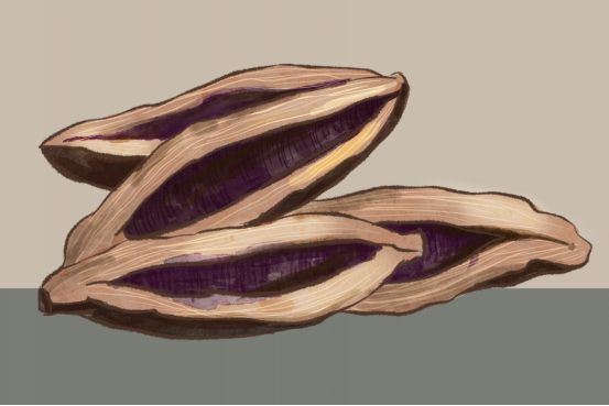 舌癌如何分期,长期嚼槟榔的人群