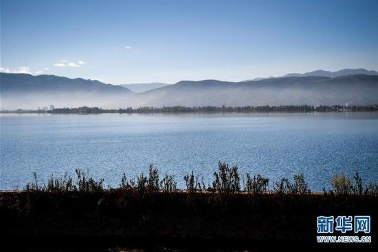 无线电应用,为什么无线电技术可以传播信息呢,无线电技术