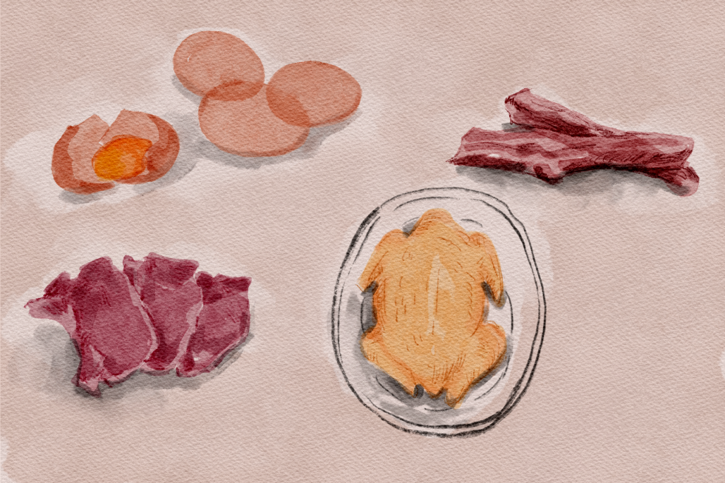 沙门氏菌,感染沙门氏菌会出现哪些症状