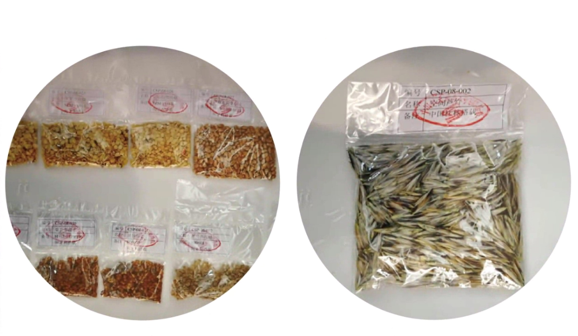 航天搭载后经过公证的种子,什么样的种子可以被送上天