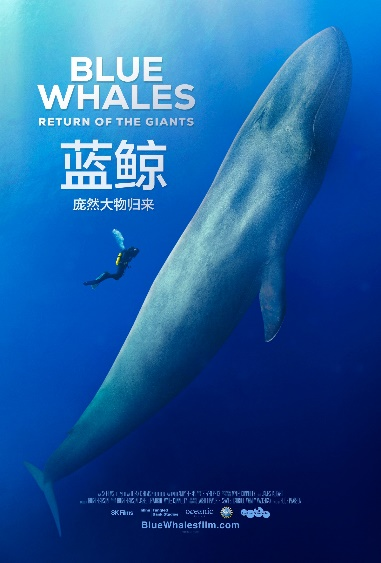 蓝鲸庞然大物归来
