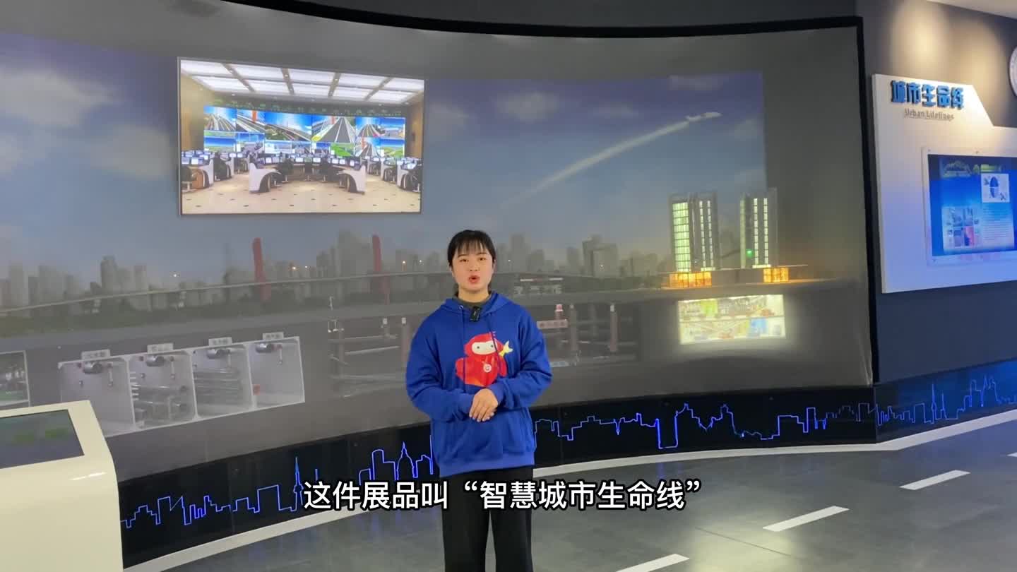 智慧城市生命线
