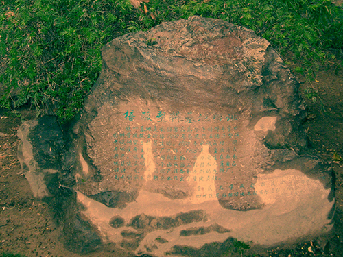 徐僖,五棓子塑料,高分子材料学家 徐僖,五棓子塑料,高分子材料学家