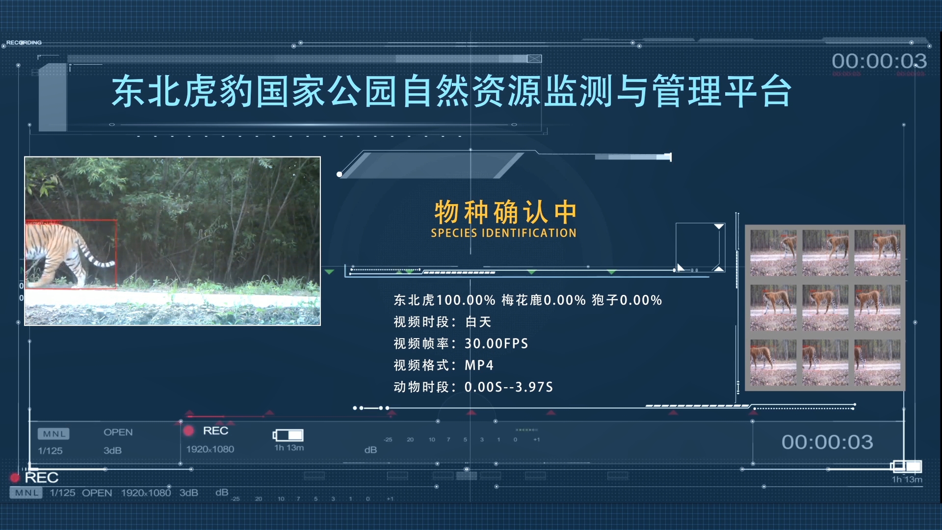 “天地空”一体化监测体系,保护东北虎,监测体系共实时传输