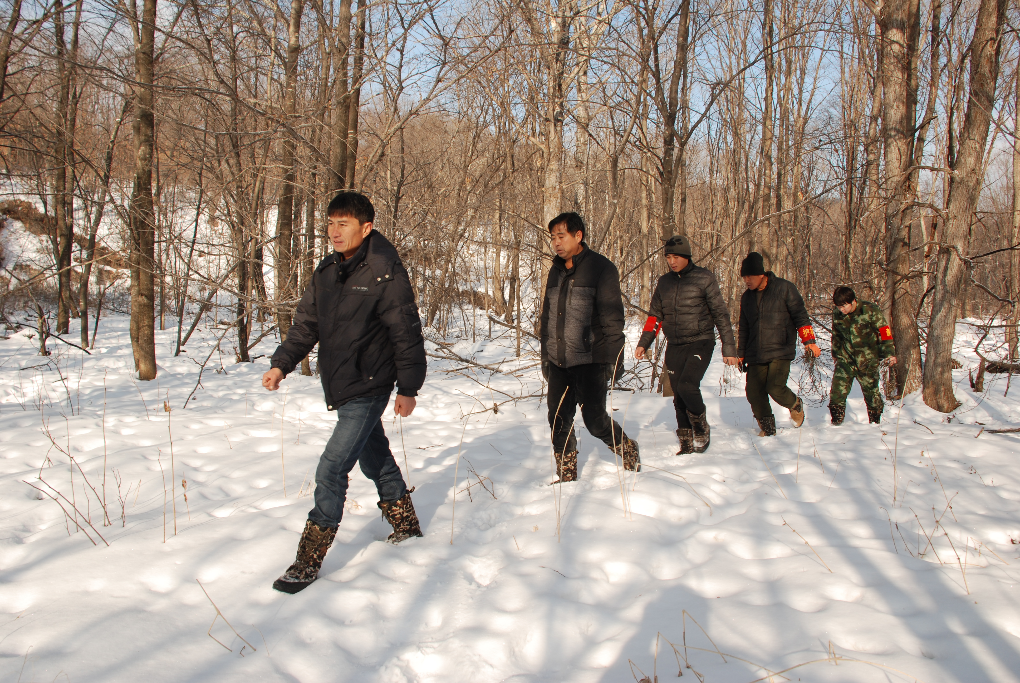 巡护员进行巡逻,我们能做什么来保护老虎