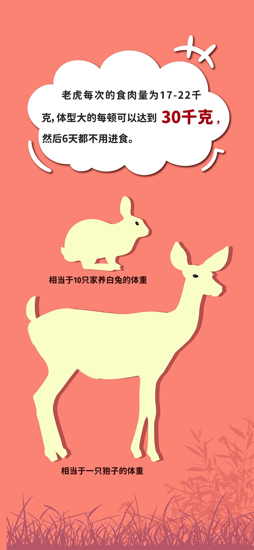 老虎怎样吃大餐,老虎吃什么,老虎的食量