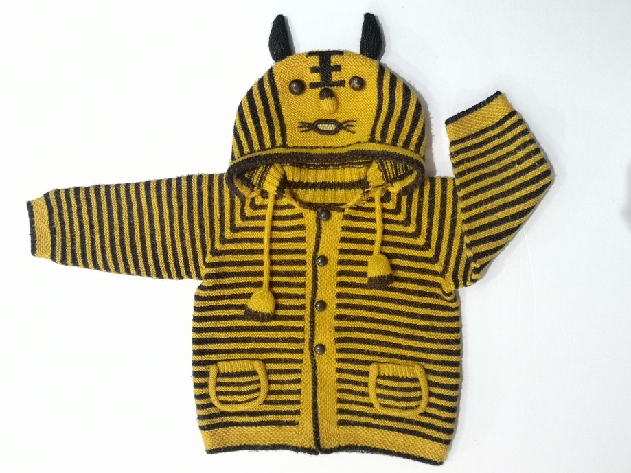 “虎年话虎”线上征集活动,老虎衣,虎年话虎