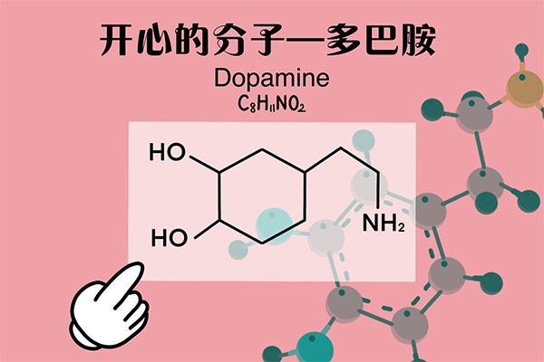 合成大西瓜;大脑;愉悦回路