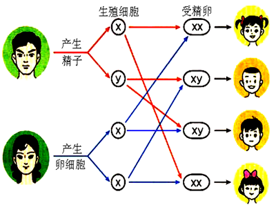 妇女节;女性;性别;男强女弱