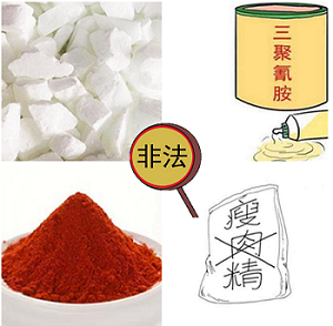 食品添加剂;瘦肉精;食品;健康