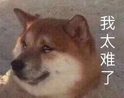 过敏性鼻炎;鼻炎;季节性过敏;春季;花粉过敏